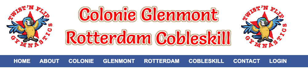 Twist 'N Flip Gymnastics